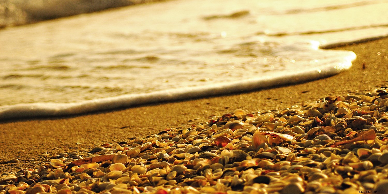 Elevate Your Winter Break: A Sophisticated Guide to Fort Myers & Sanibel Beaches